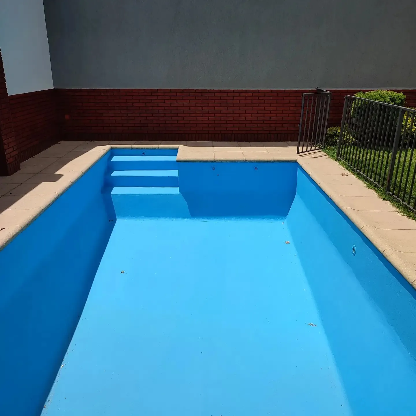 La misma pileta pintada de celeste, con pared de ladrillo al fondo.