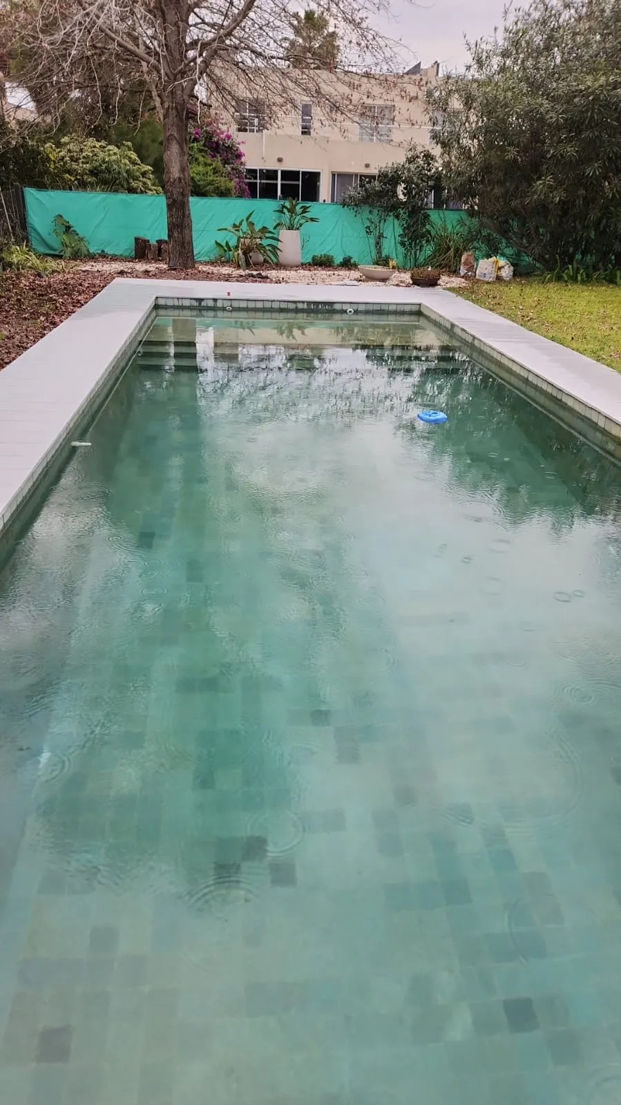 Pileta llena de agua, revestida con venecitas verdes.